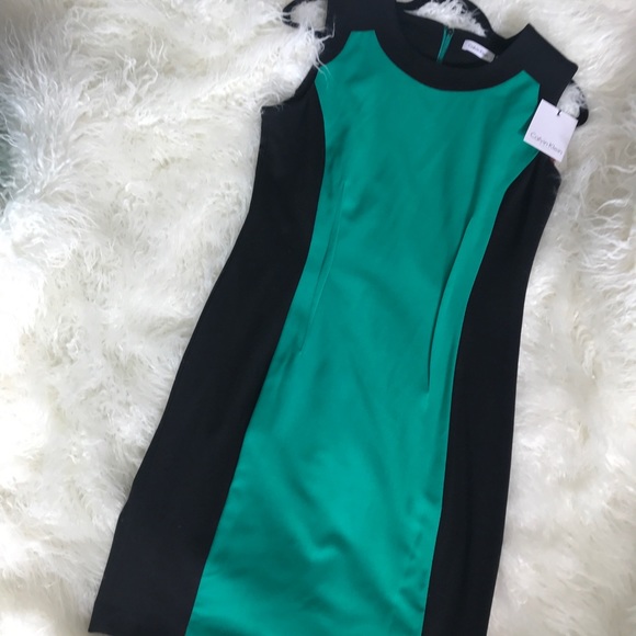 Calvin Klein Dresses & Skirts - Calvin Klein shift dress. kelly green/blk sz. 10.